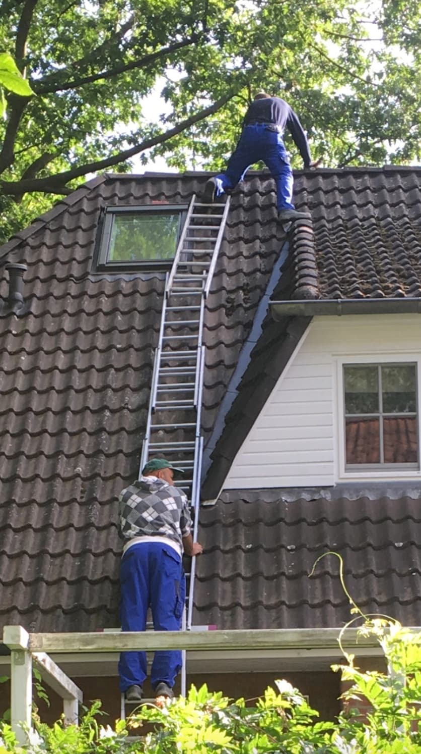 funny ladder safety